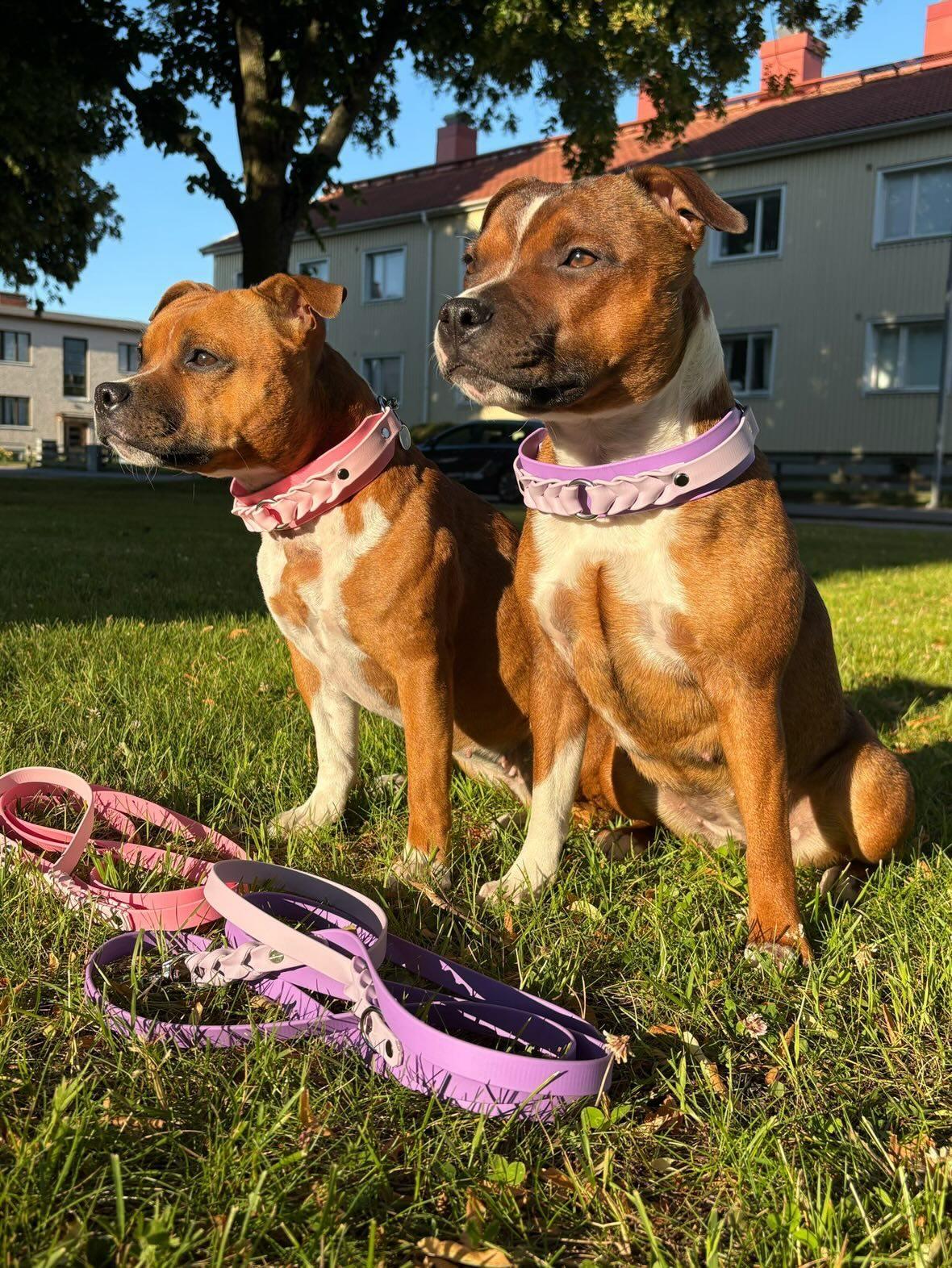 💜Dizzie och Zoes sommarkollektion🩷