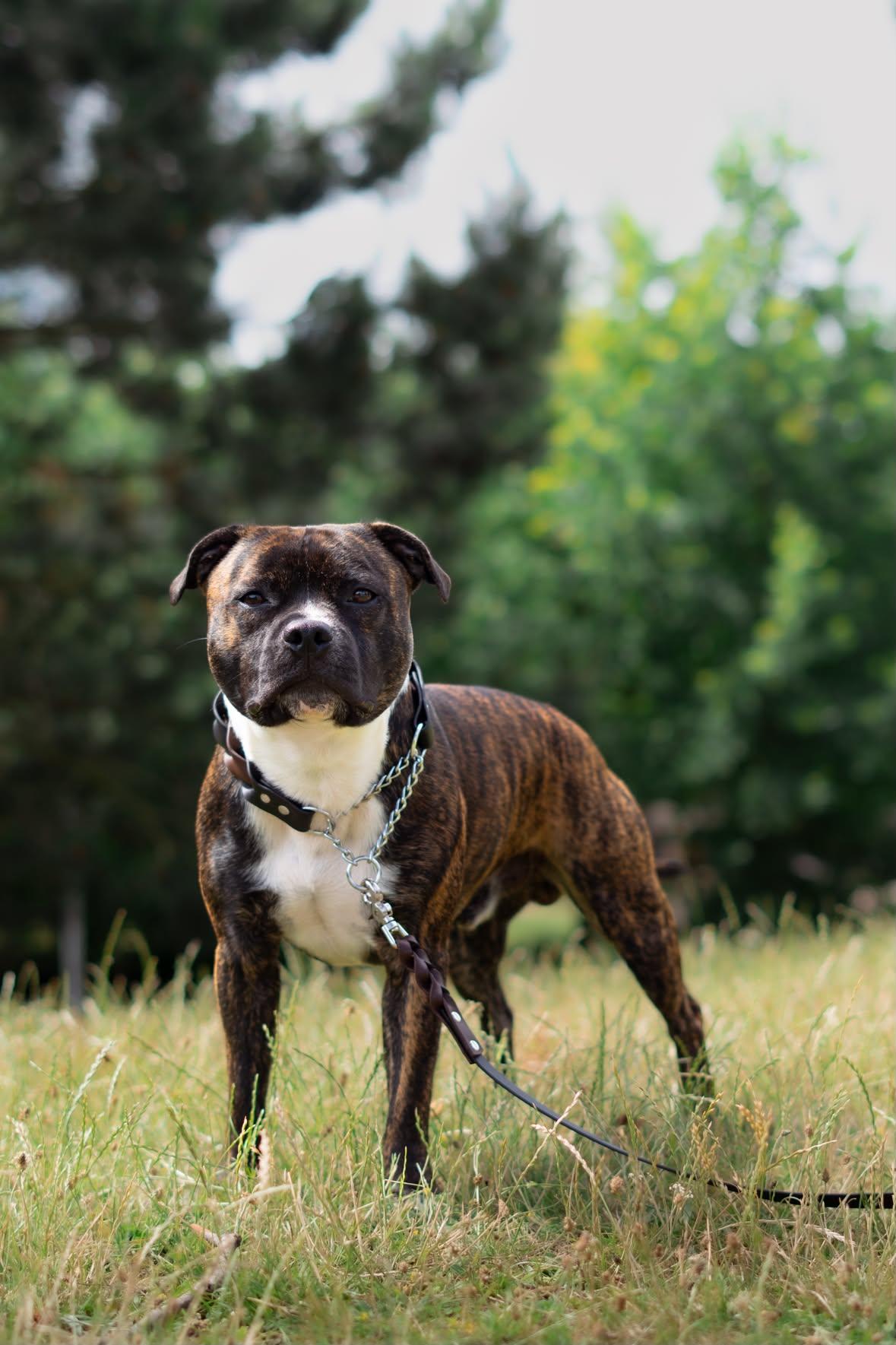 Ralf