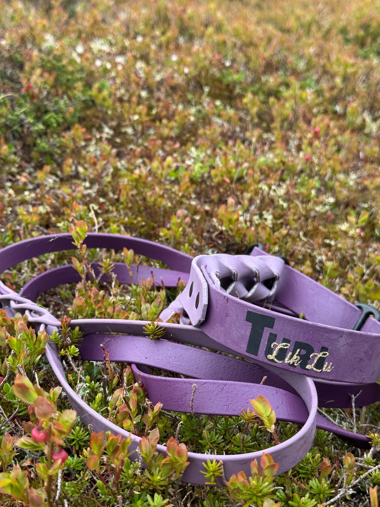 Halsband Bee